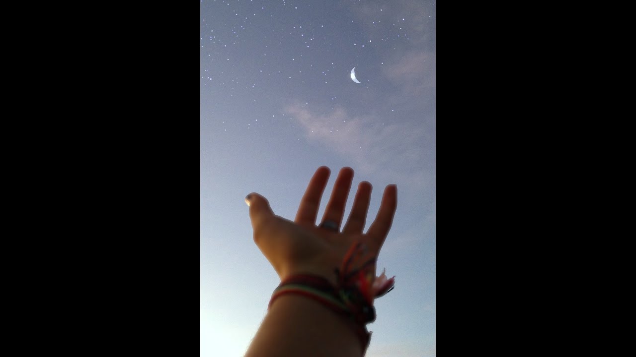 月とダンデライオン　Luna and Dandelion