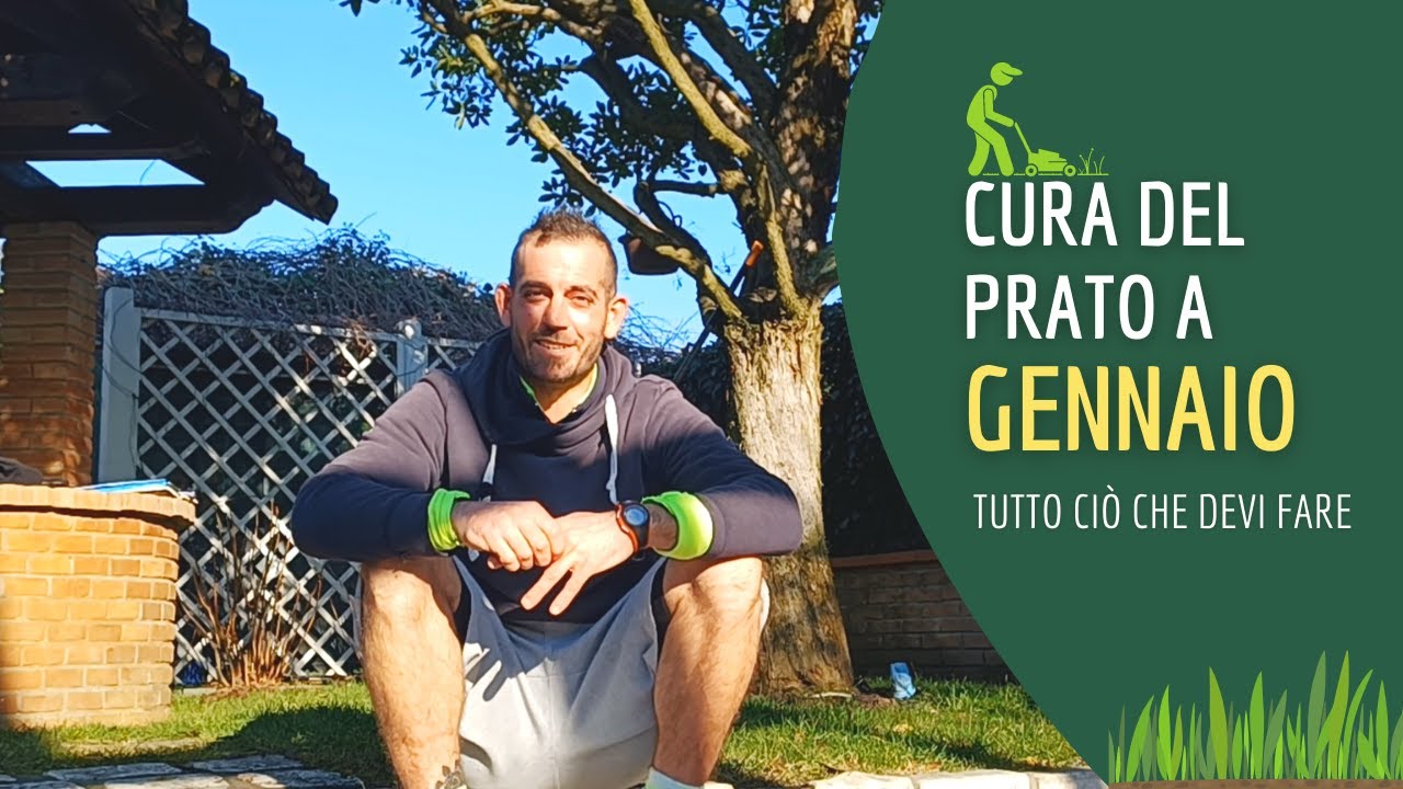 Cura del prato: cosa fare a gennaio