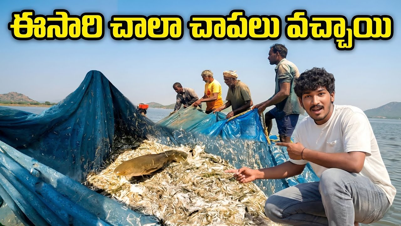 ఈసరి మాకు చాలా చాపలు పడాయి 🤩🐟||fishing in village pond🦈✨| village fishing 