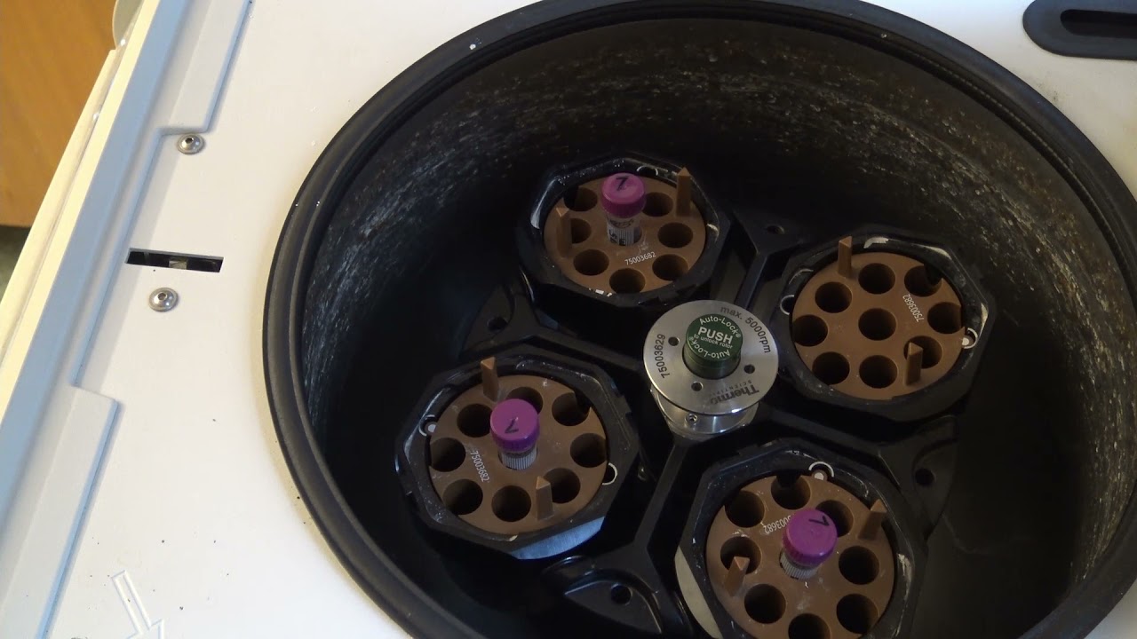 Tephra training video