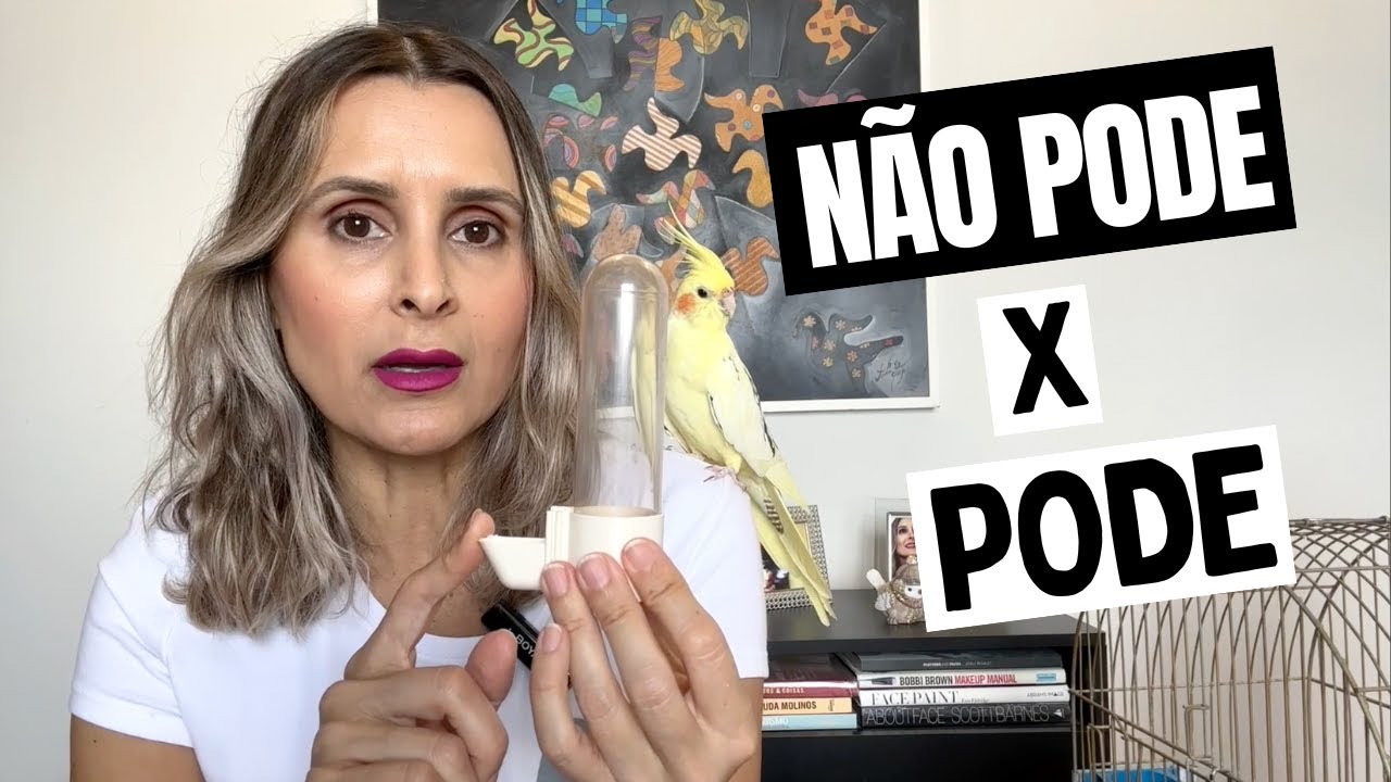 CALOPSITAS: O QUE PODE E O QUE NÃO PODE? 10 COISAS ANALISADAS.