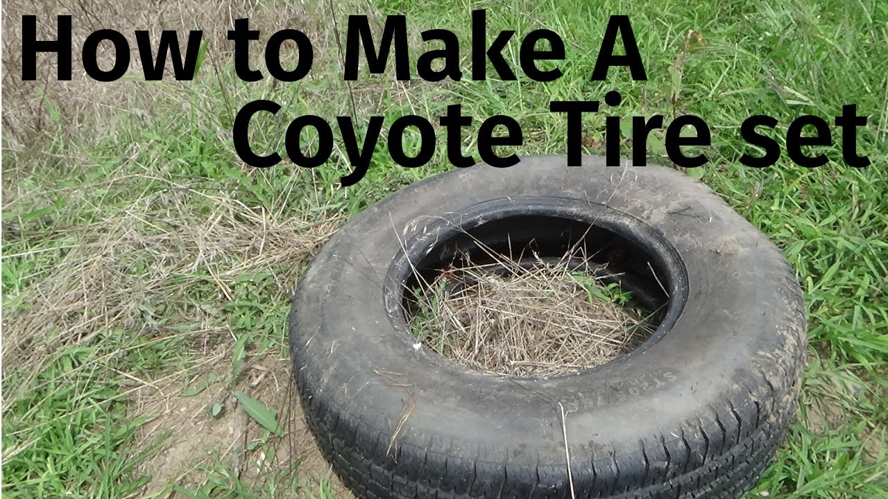 Making a Coyote Set (Tire Set)