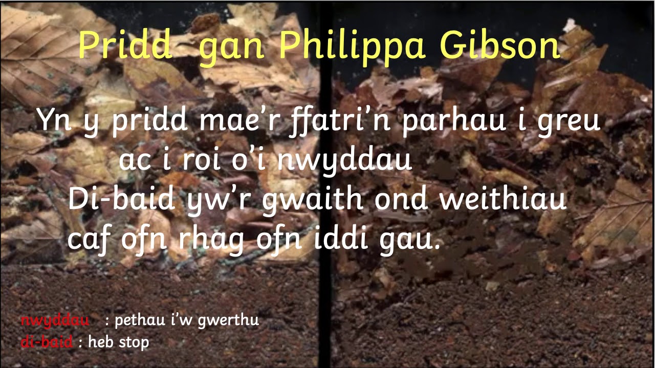 Addysg ; Dehongli Barddoniaeth - Fy Llyfr Englynion.