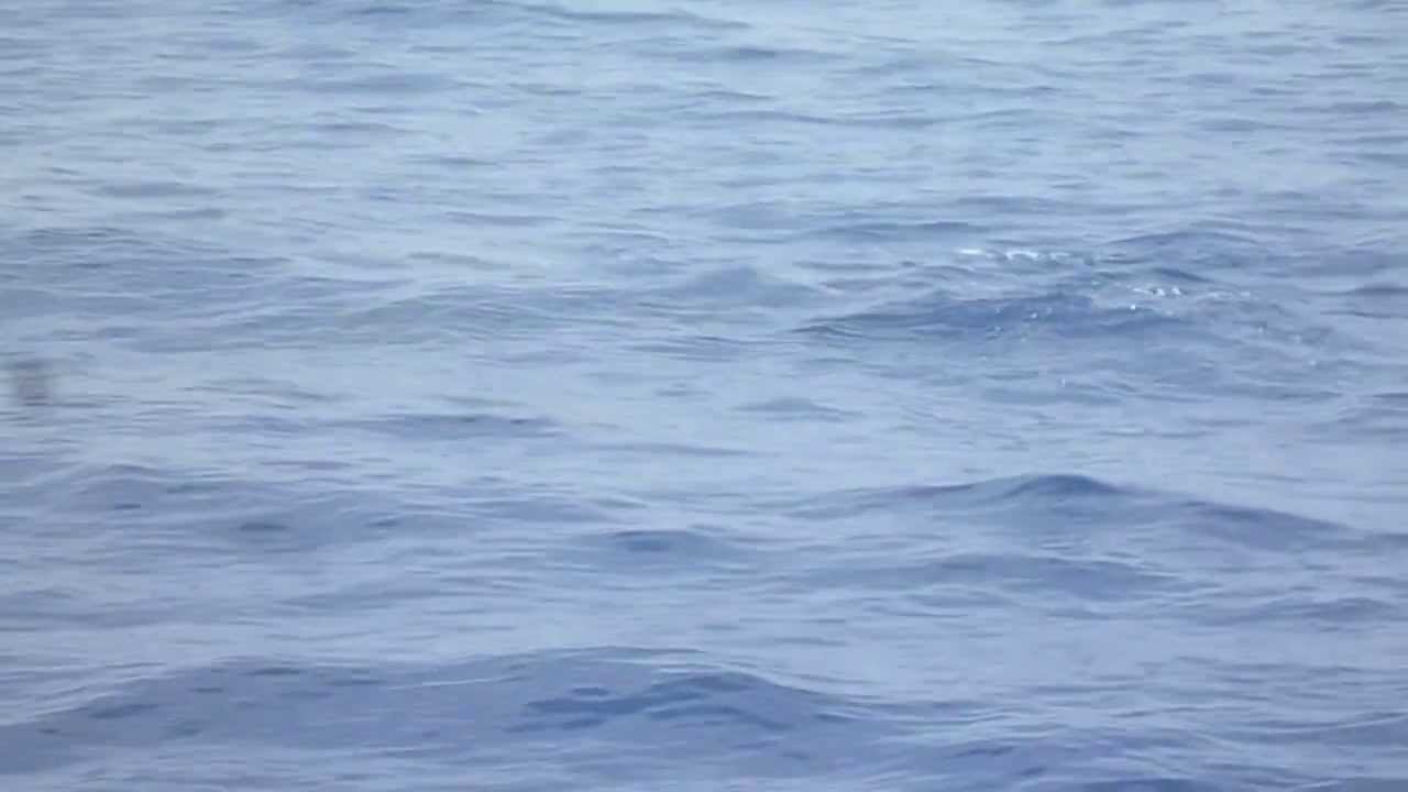13 Julio 2013