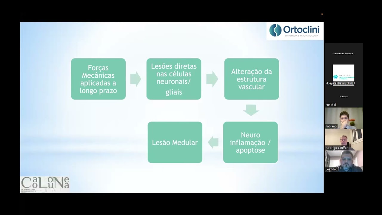 Curso de Educa&ccedil;&atilde;o Continuada - Coluna