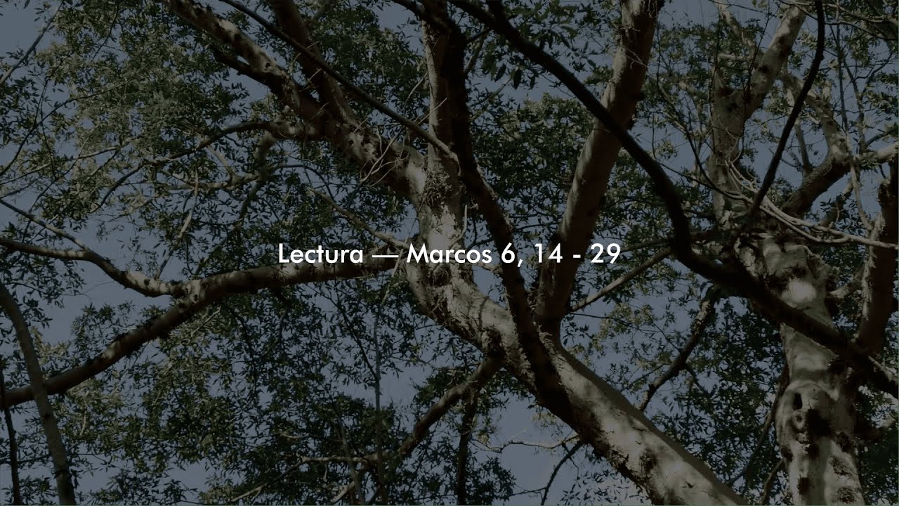 Evangelio del Día - Cuando la verdad incomoda - Marcos 6, 14-29