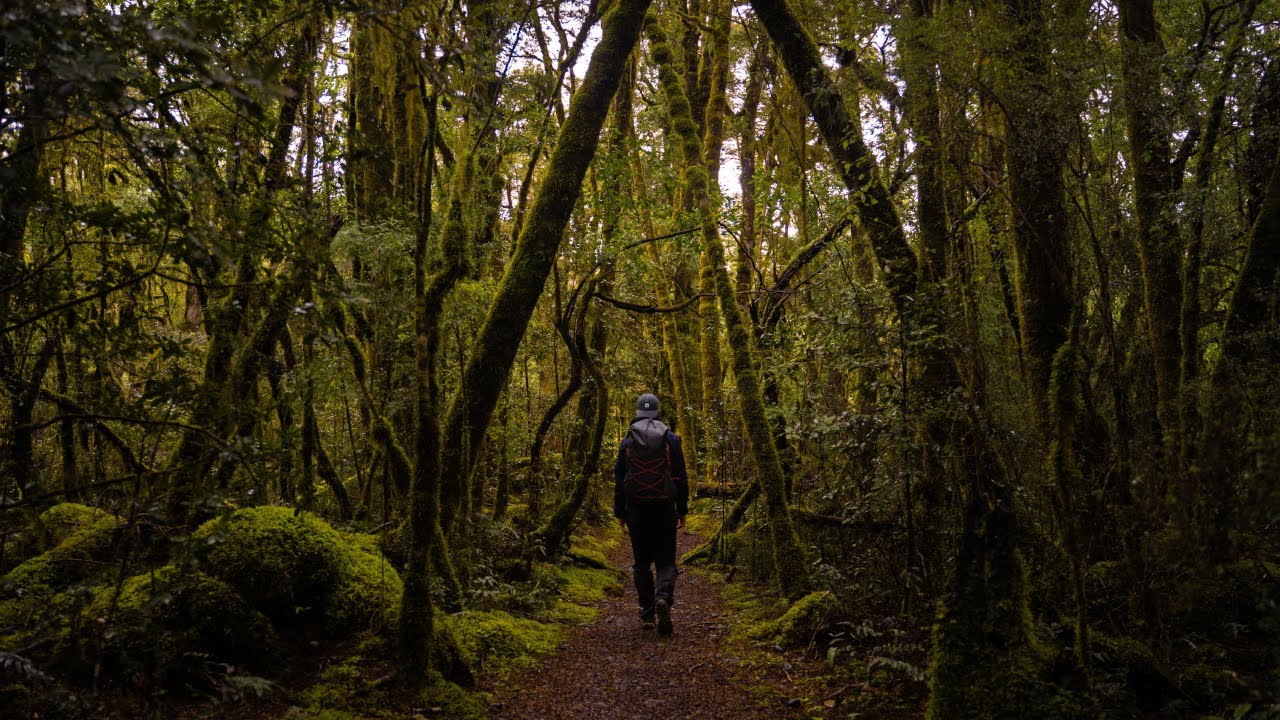 Silent Solo Hiking the Kepler Track in New Zealand