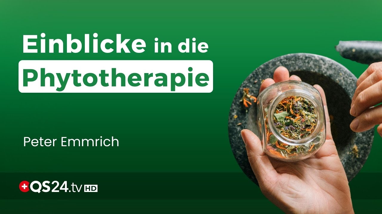 Pflanzenpower: Die faszinierende Welt der Phytotherapie | Naturmedizin | QS24