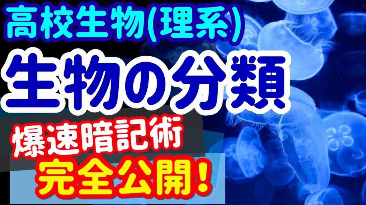 【高校生物 72】系統【生物の分類(3界説)】を宇宙一わかりやすく