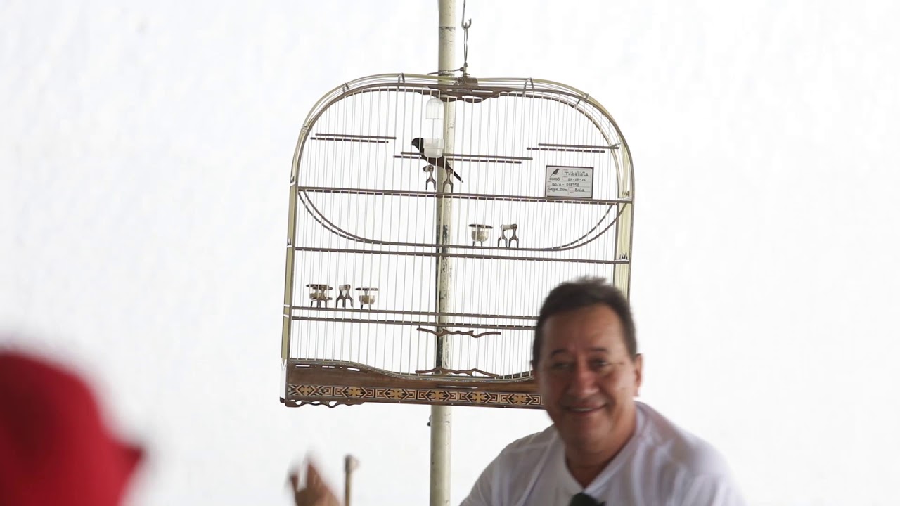 Campeonato do Nordeste canto goiana.