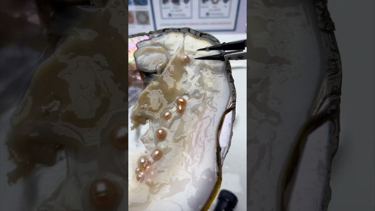 Demon pot pearls #freshwaterpearl #pearljewelry #pearl #pearls #oysterpearl #jewelry #fyp #shorts
