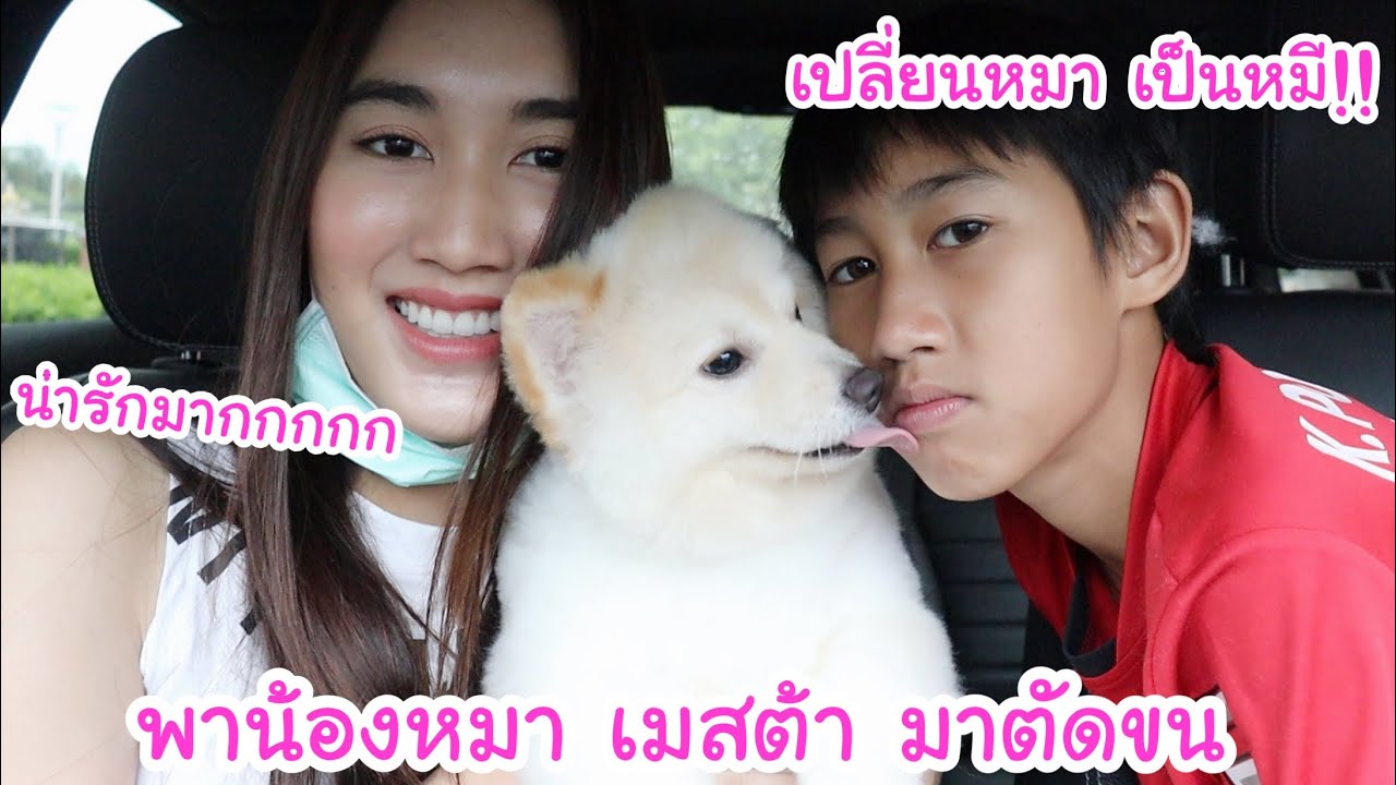 พาน้องหมา เมสต้า มาตัดขน ครั้งแรก!! เปลี่ยนจากหมา เป็นหมี โคตรน่ารักกกก | KAMSING FAMILY