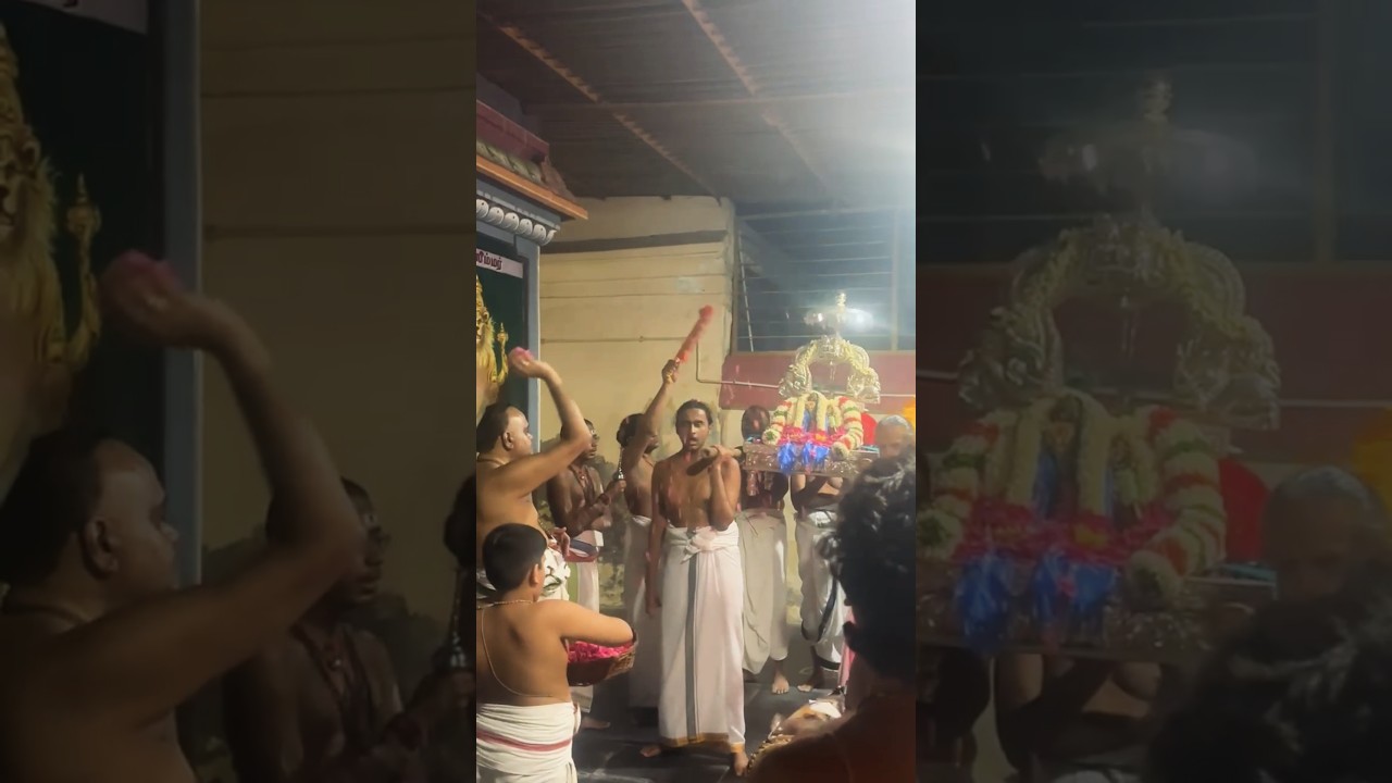 Sri Bhaktha Kolahalan Procession - Paranur - Vasanthothsavam 2025 #srihariji
