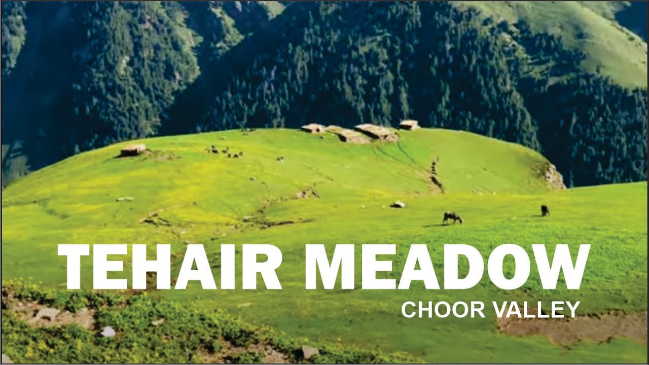 Tehair Meadow(تہیڑمیڈو) || Choor Valley KpK || Unexplored Beauty Of Kpk || Tour Sure || Hazara KPK