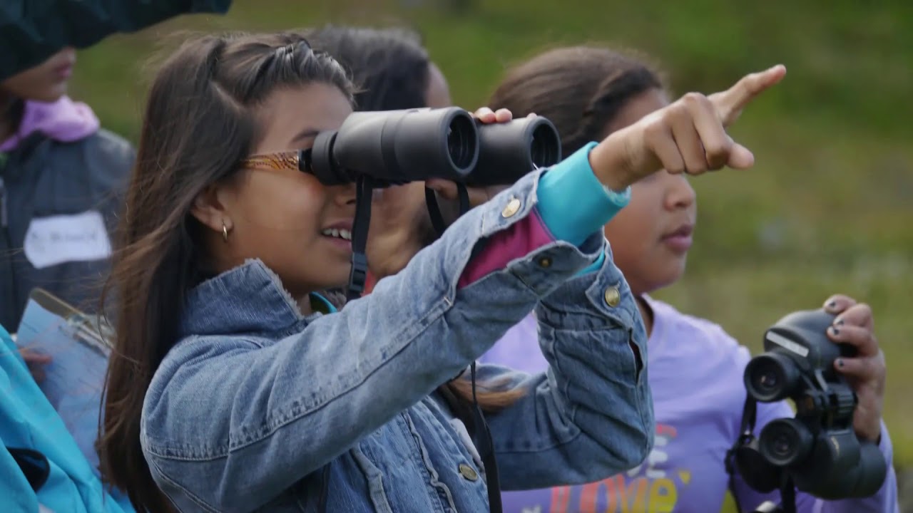 Join the City Nature Challenge 2019