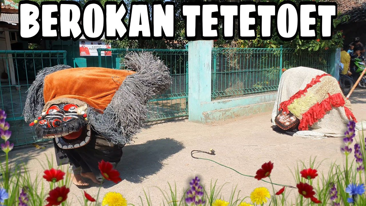 ATRAKSI BEROKAN TETETOET
