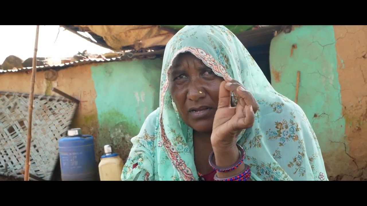देसी बीज की खेती //  Deshi Beej kee kheti