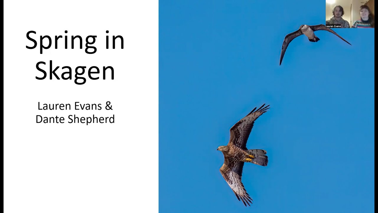 Spring in Skagen with Lauren Evans and Dante Shepherd