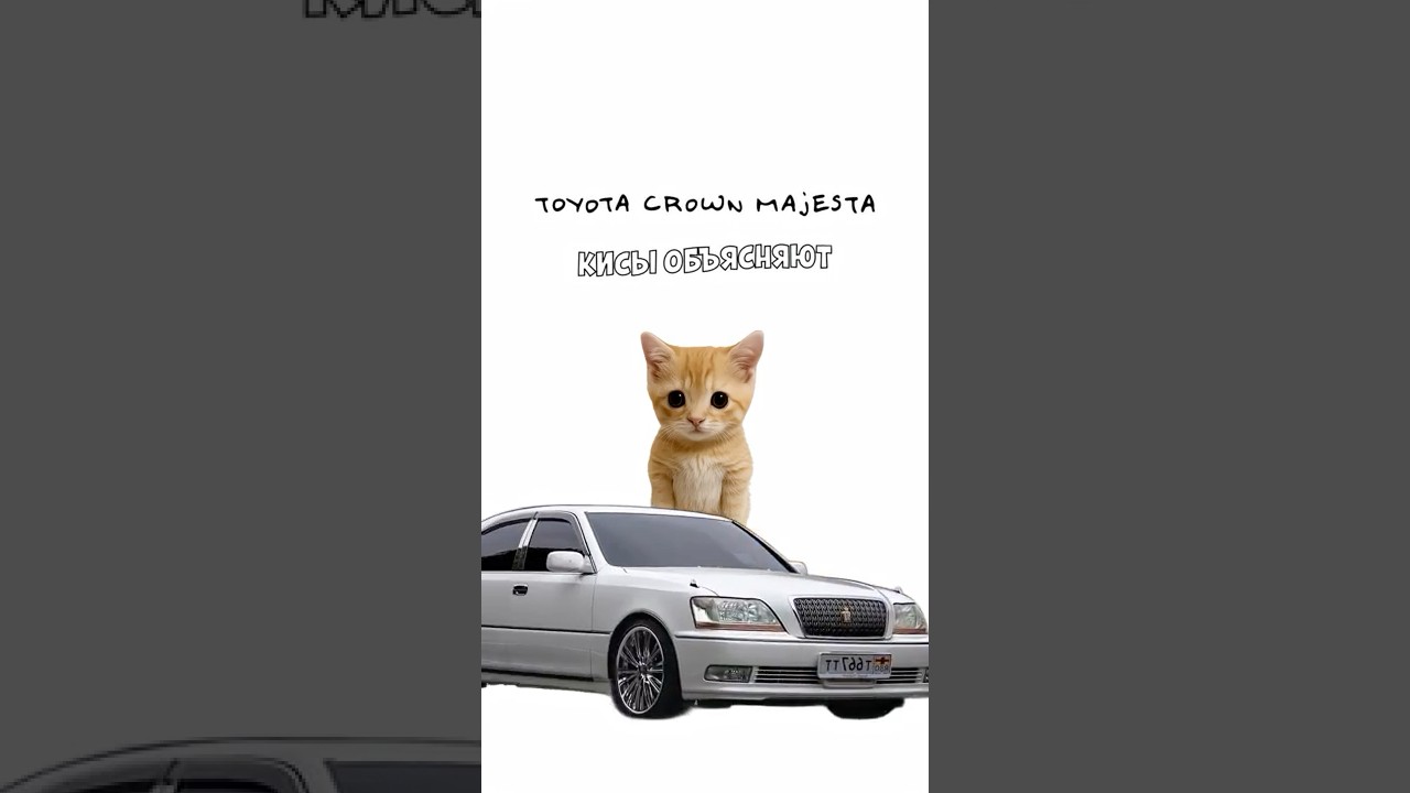 Киса покупает Toyota Crown Majesta