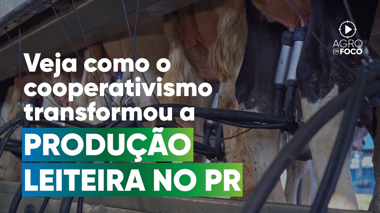 Pioneirismo na produção de leite: conheça a cooperativa Frísia - Programa #71 - Agro Em Foco