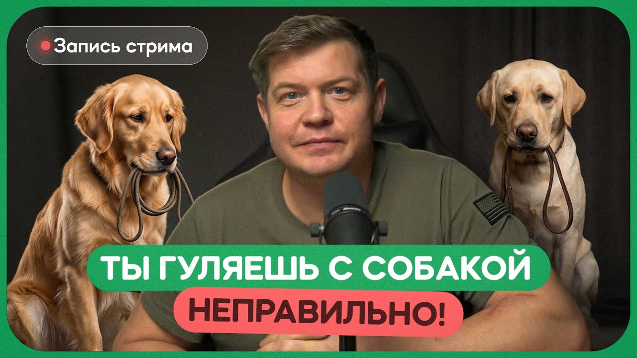 Плохое поведение собаки на улице. Решения и исправления.