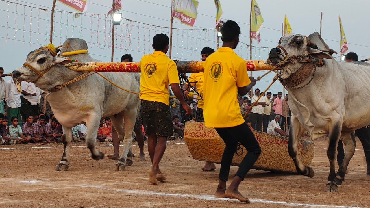 మాచవరం గ్రామానికి సబ్ జూనియర్స్ విభాగానికి 1వ జత  యామిని మోహన్ శ్రీ  రామారావు గారు & షైక్ బడే గారు