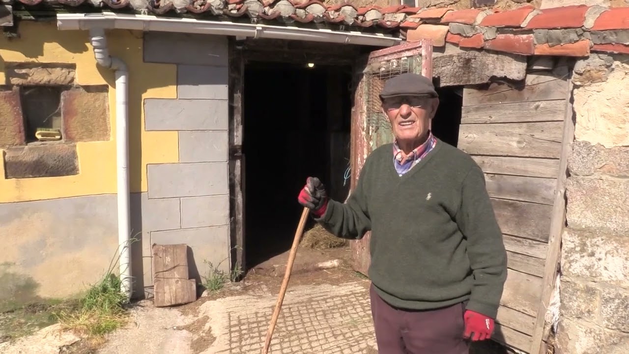 Ganaderos en su hábitat | Ganado en Laguillos | 5.7.2024