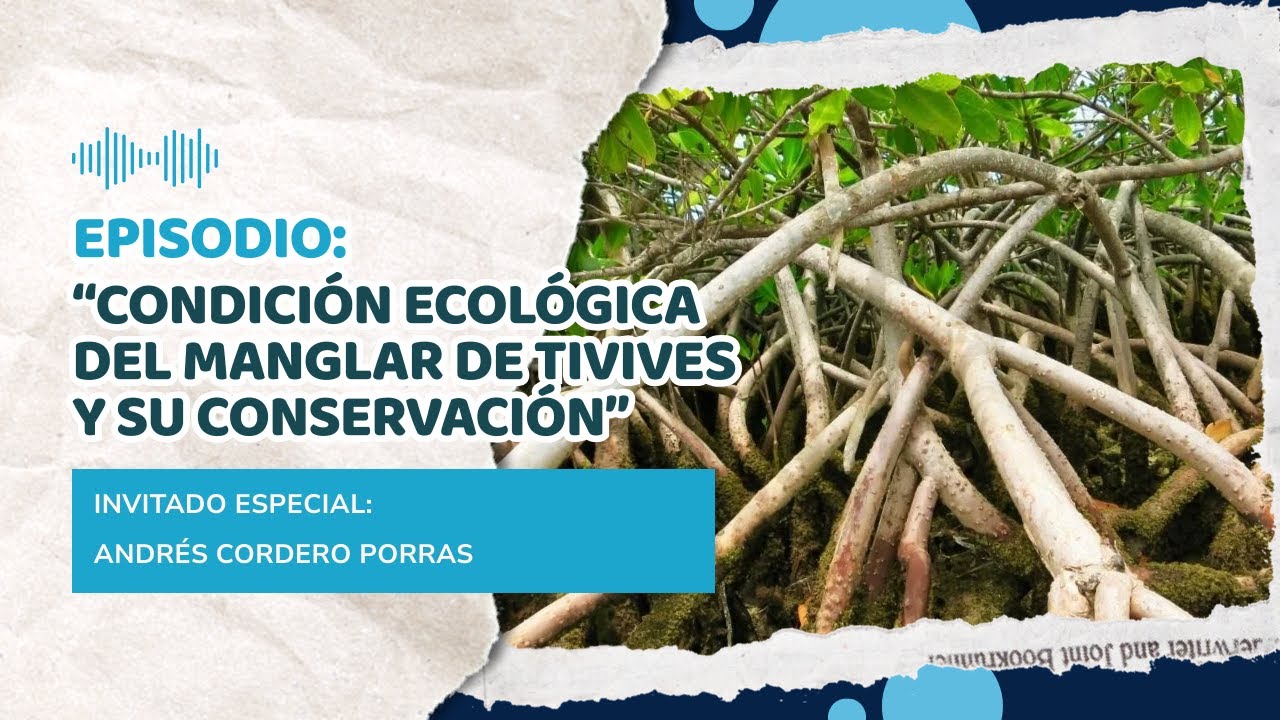 “Condición ecológica del manglar de Tivives y su conservación”