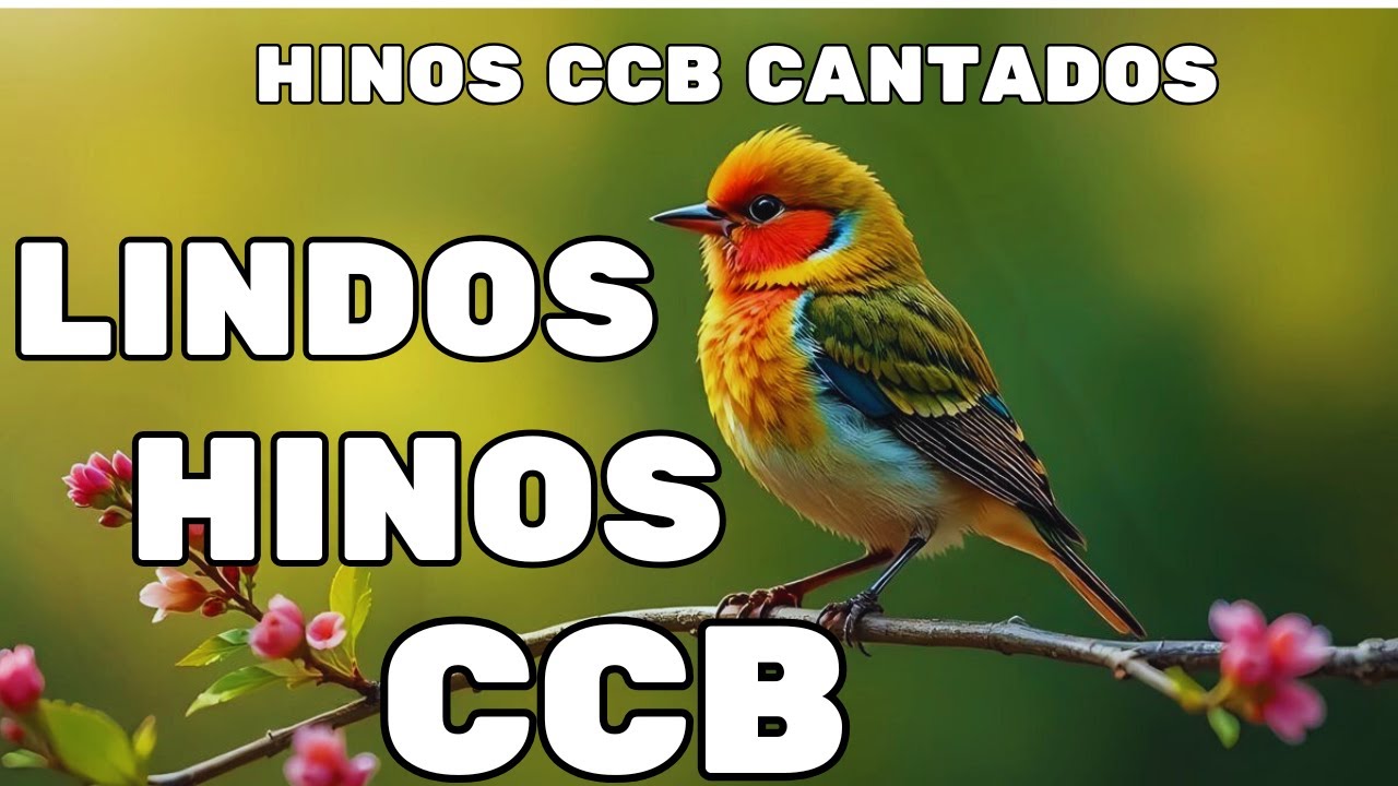 LINDOS HINOS CANTADOS CCB - 14/01/2026 - 480 HINOS 1,2,3,4,5,6,7,8,9,10,11,12,13,14,15,16,17,18,19