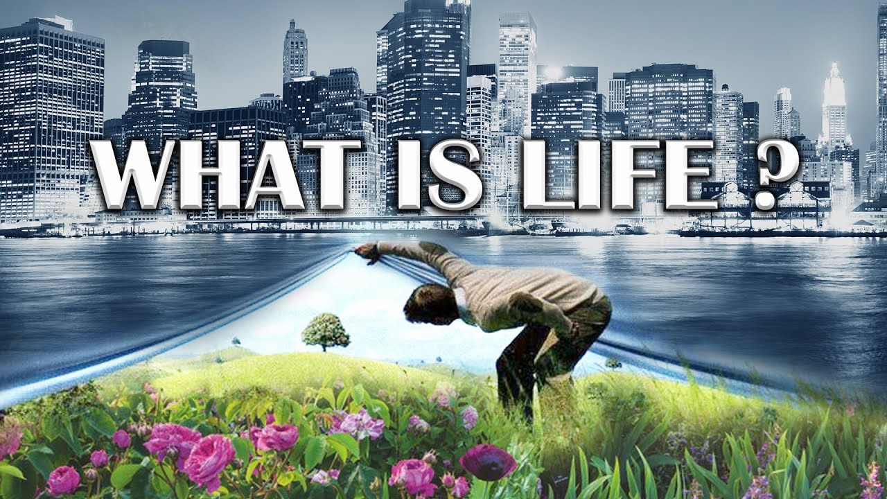 What is Life? (Messages After the Grave Series Session 9) Emerson Ferrell