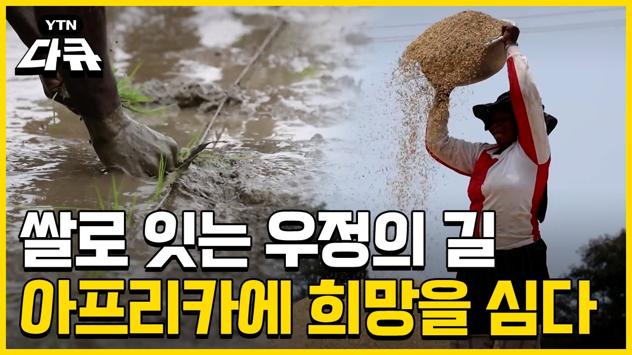 대륙에 심는 희망…아프리카 살리는 K-농업 / #YTN다큐