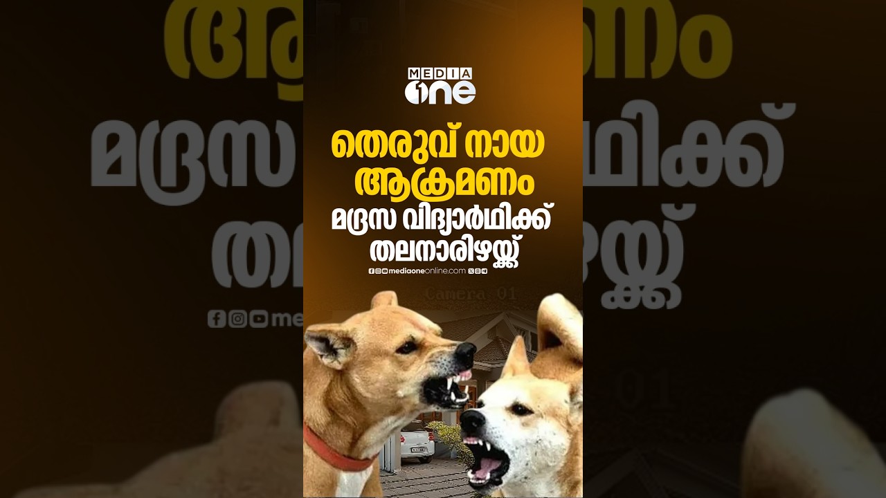 മദ്രസ വിട്ടുവന്ന ഒൻപതുവയസ്സുകാരന് നേരെ തെരുവ് നായകളുടെ ആക്രമണം; കുട്ടി രക്ഷപ്പെട്ടത് തലനാരിഴക്ക്