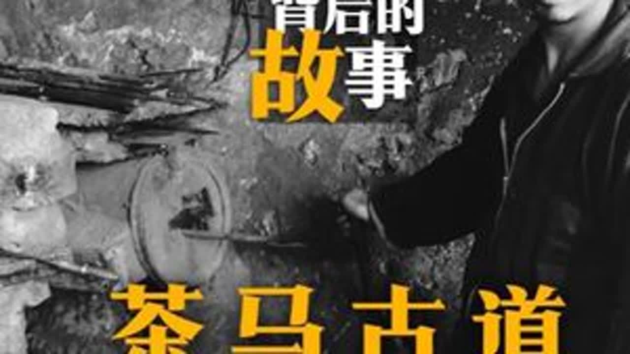 追蹄印寻茶马古道，最后的马帮之路。 汉源的深山里，三十公分的蹄印曾是茶马古道的时间印记，如今新土悄然覆盖其上。八零年代最后的骡马铃铛声消失，土匪悬头的巨石和铁钉已成笑谈。苔痕一寸寸漫过石阶，山风...