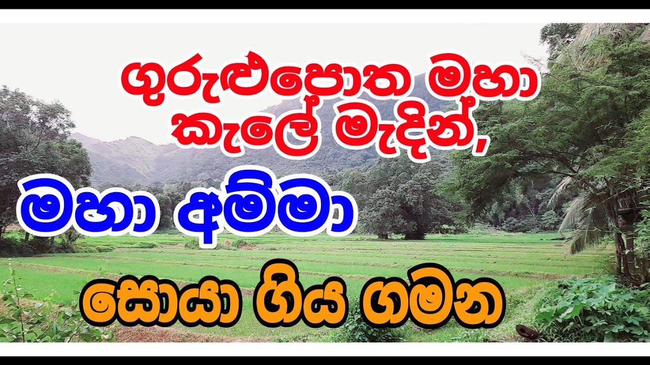 ගුරුළුපොත මහා කැලේ මැදින්, මහා අම්මා සොයා ගිය ගමන, siwhela foundation
