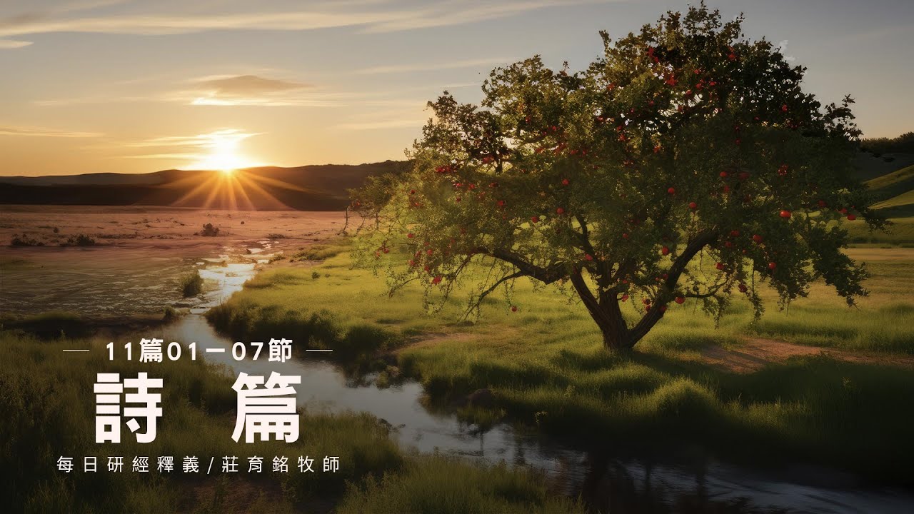 250110 詩篇 11篇1~7節 正直的人必得見神的面 (附小組討論題庫於留言區)