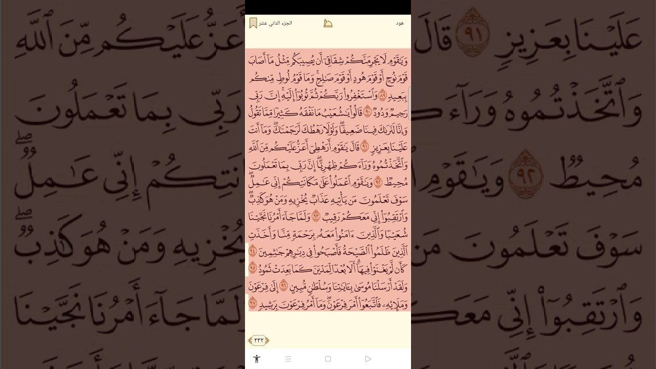 ٨ فبراير ٢٠٢٦