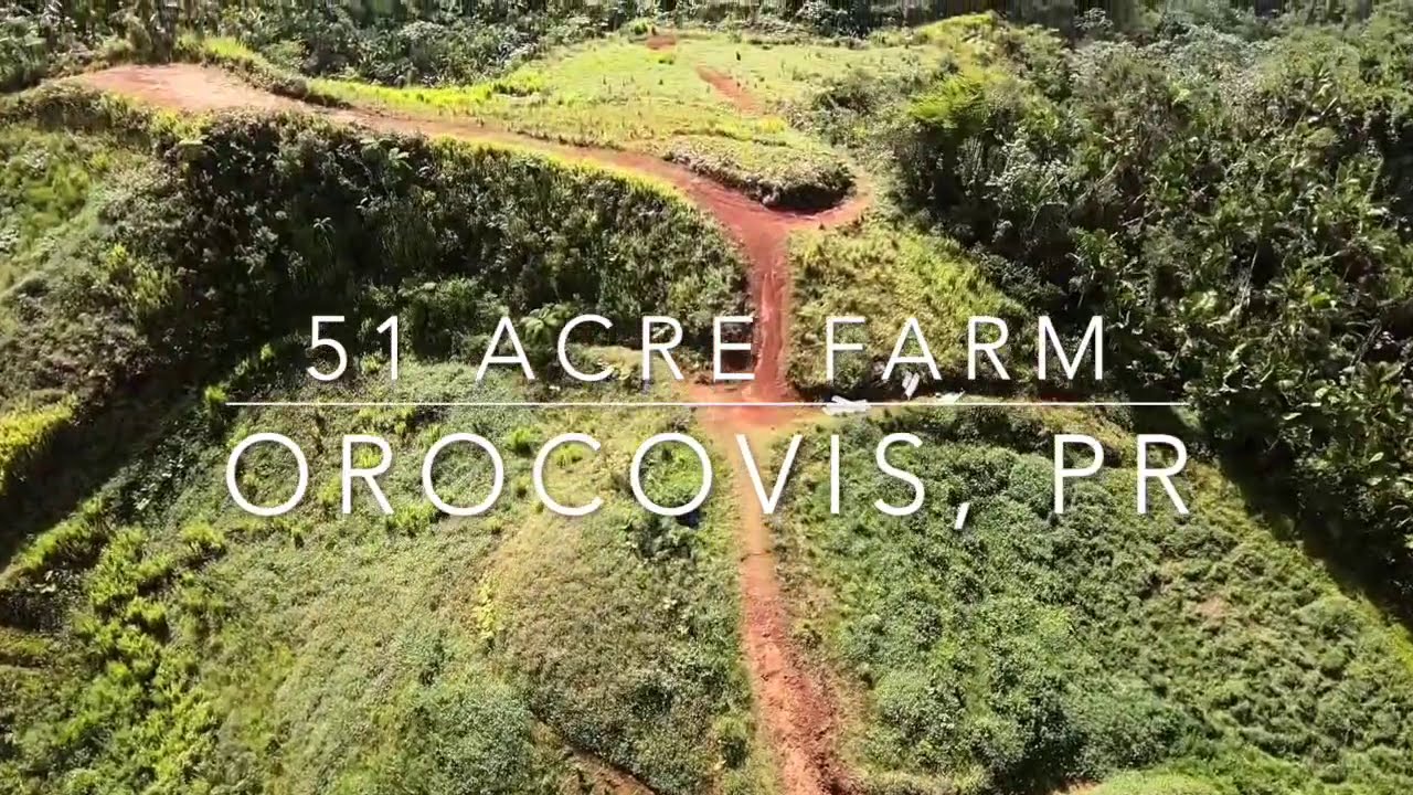Farm Land For Sale in Orocovis, Puerto Rico.