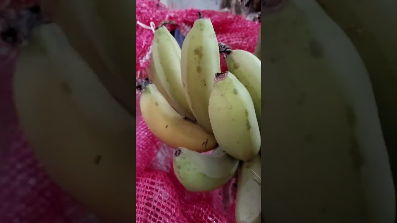 গাছ পাকা কলার পকোড়া ##