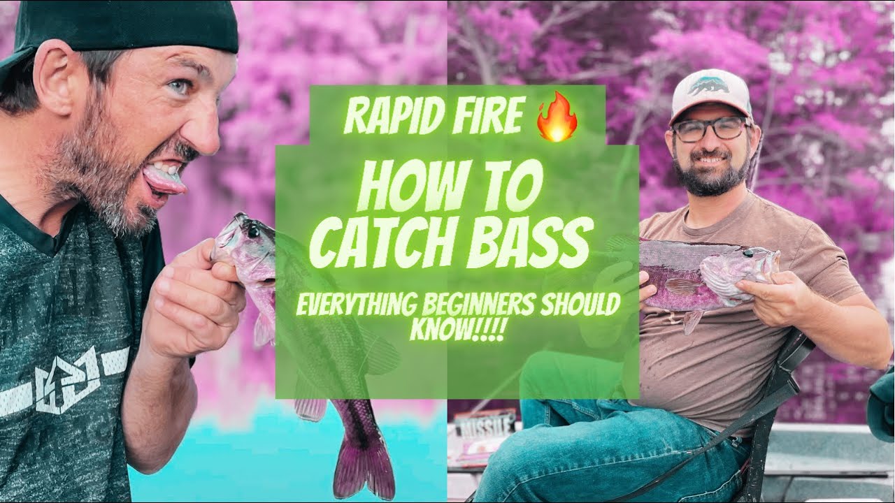 Bass Fishing for Beginners #freshwater fishing novice #kayak bass fishing