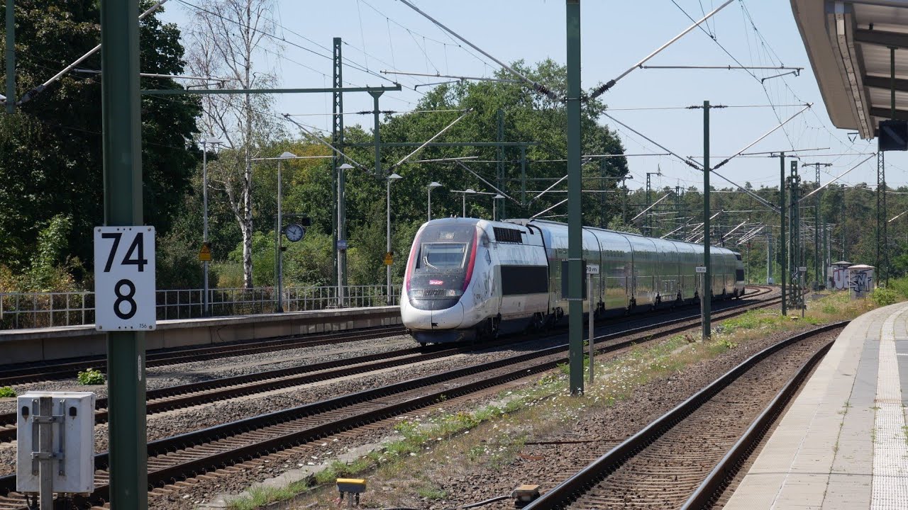 Züge in Frankfurt Stadion Mit TGV Br 101 430 403 406 429 185 101 401 411 445 412 1440 415 124 9425