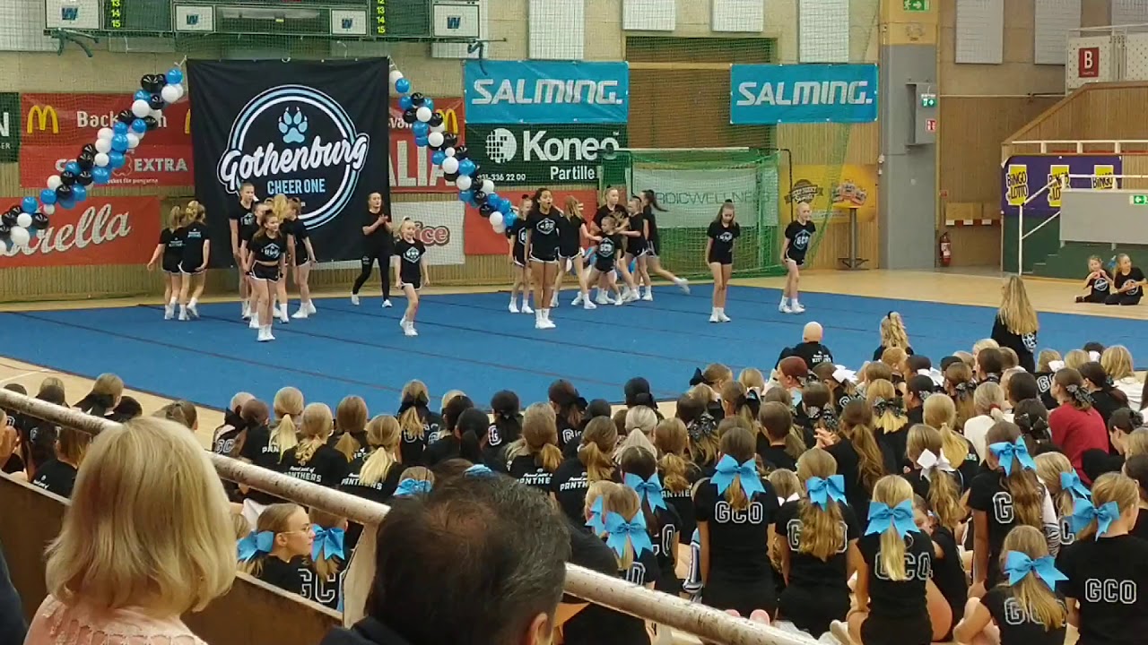 GCO juluppvisning 2019 Kittens