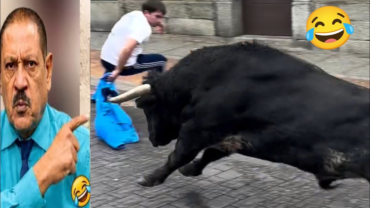 Impossible Try Not To Laugh Challenge 😂 | Funny Fails 2026Ep (8) react master