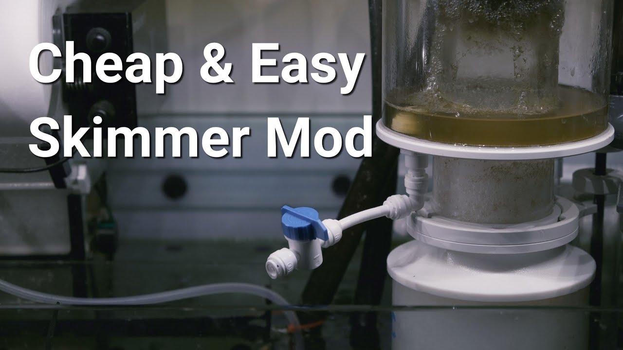 $10 DIY Skimmer Drain Mod