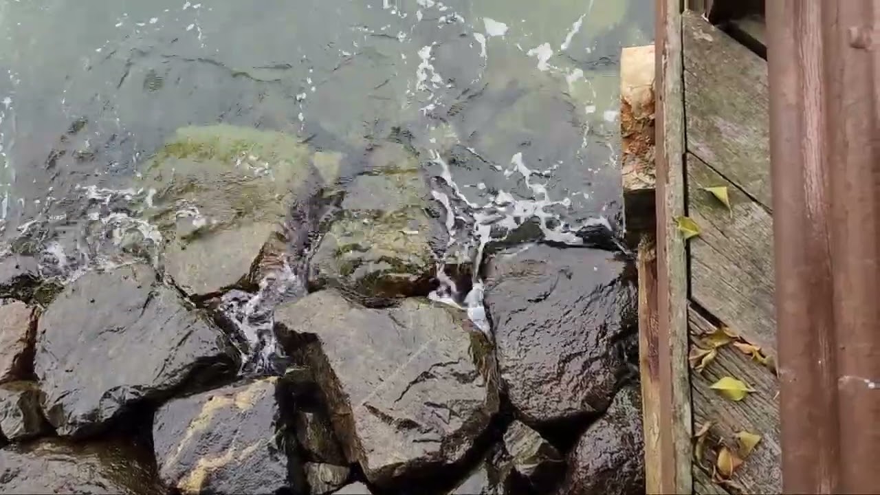 I am bored. So I made this 1-hour natural ASMR seaside sounds for sleep and relaxing.