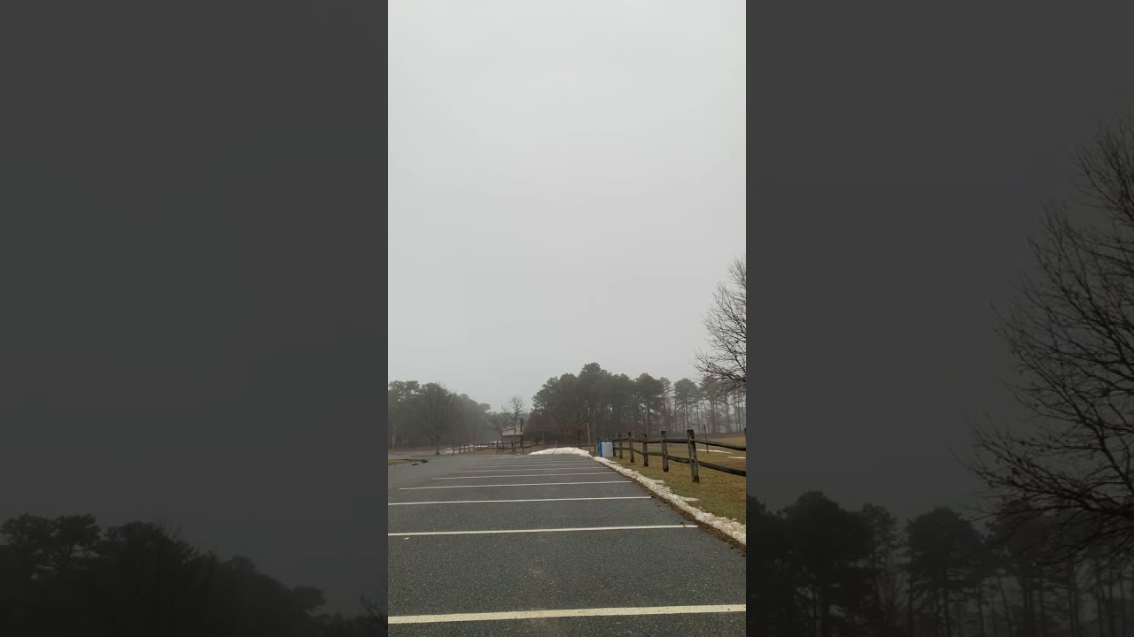 Sweet Bayou Lou is live and checking in! 