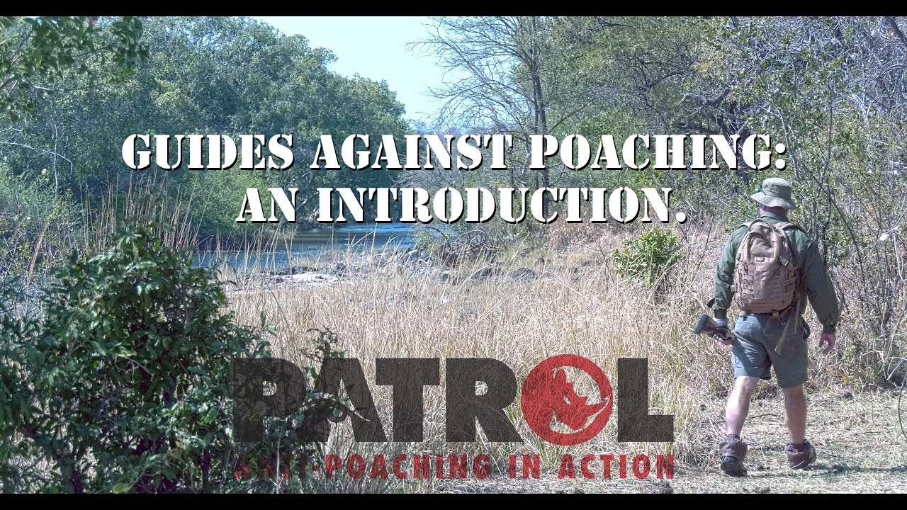 Guides Against Poaching (GAP) An Introduction