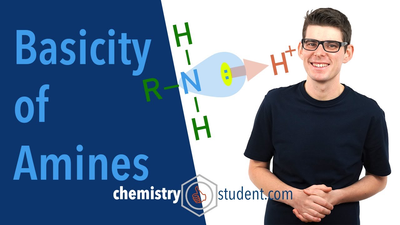 Амины – основность (химия A-level)