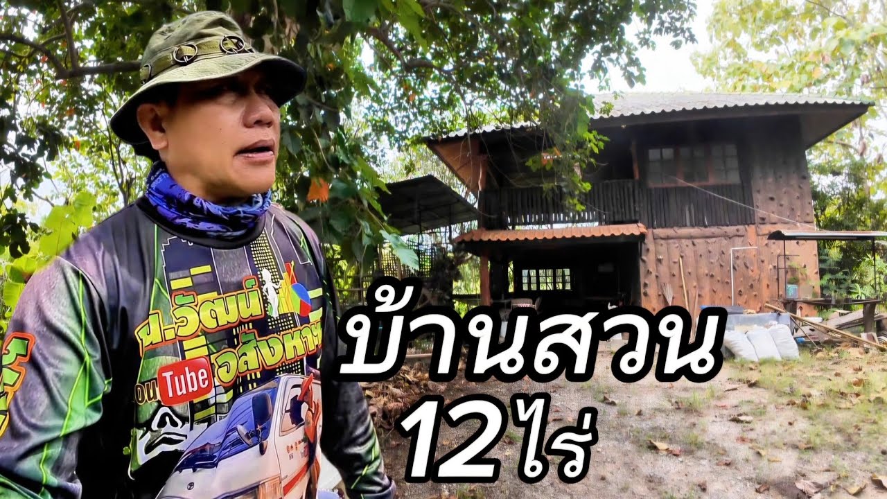 บ้านสวนEP071.บ้านพร้อมที่ดิน12ไร่ราคา3.3ล้าน/บ้านโฮ่ง/ลำพูน