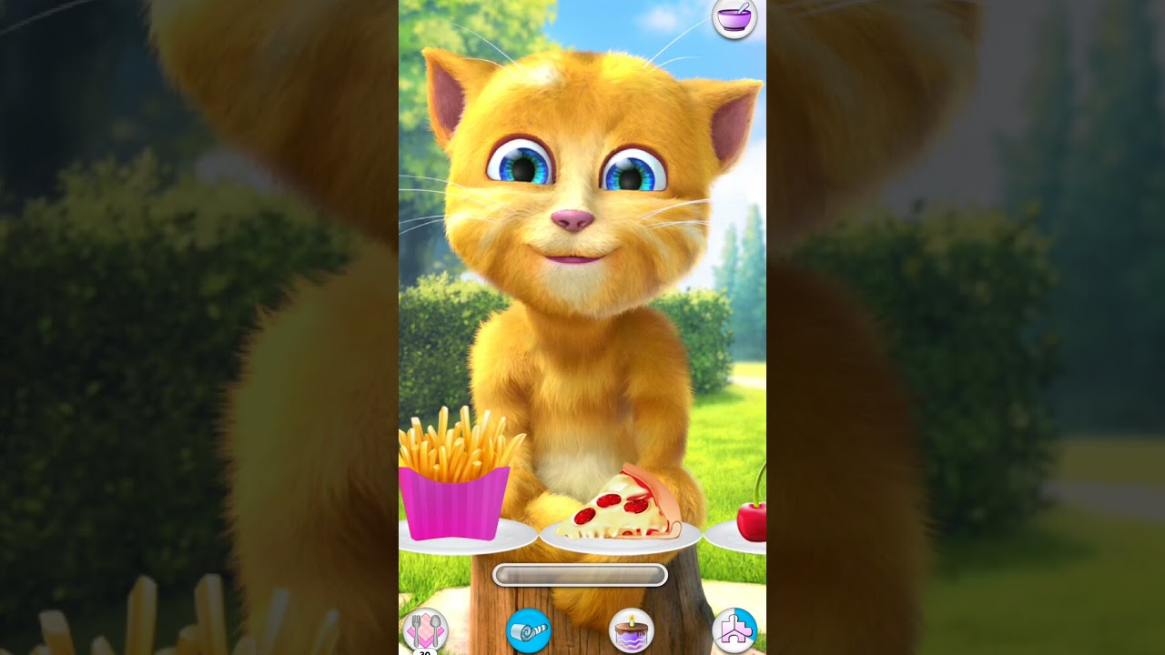 Talking Ginger funny video #short #vairal #funny