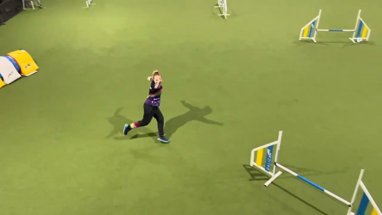 Lilu Reborn to run 01.20-21.